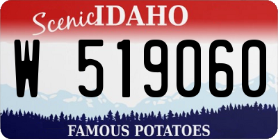 ID license plate W519060