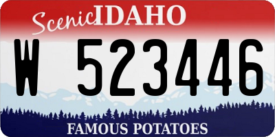 ID license plate W523446