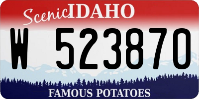 ID license plate W523870