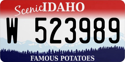 ID license plate W523989
