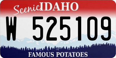 ID license plate W525109
