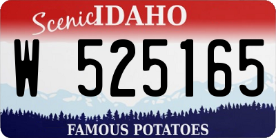 ID license plate W525165
