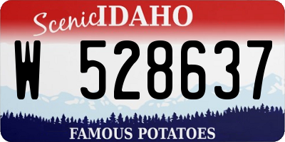 ID license plate W528637
