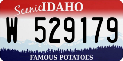 ID license plate W529179