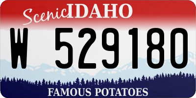 ID license plate W529180