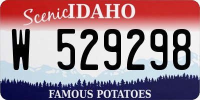 ID license plate W529298