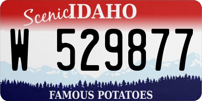 ID license plate W529877