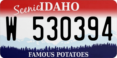 ID license plate W530394