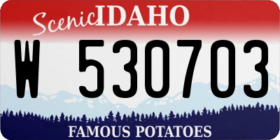 ID license plate W530703