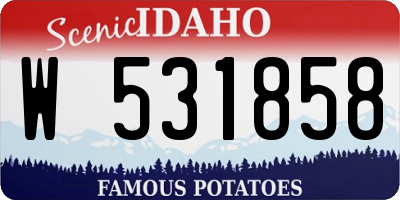 ID license plate W531858