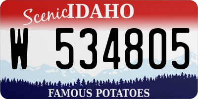 ID license plate W534805