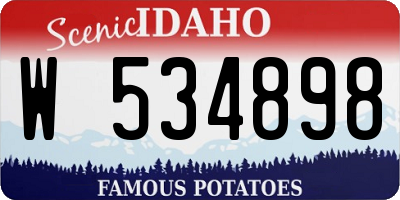 ID license plate W534898