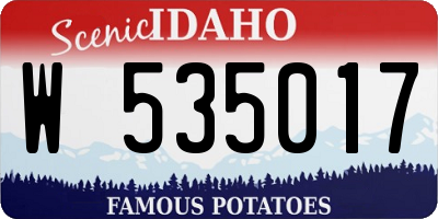 ID license plate W535017