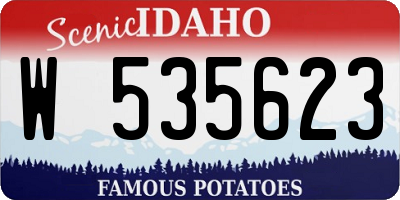 ID license plate W535623