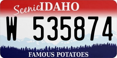 ID license plate W535874
