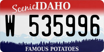 ID license plate W535996
