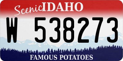 ID license plate W538273