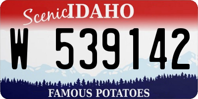 ID license plate W539142