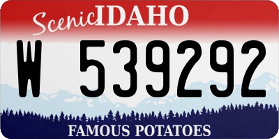 ID license plate W539292
