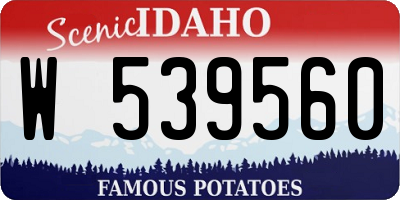 ID license plate W539560