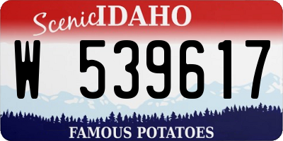 ID license plate W539617
