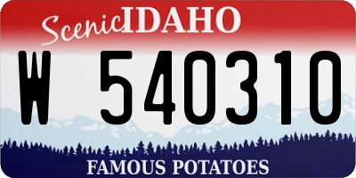 ID license plate W540310