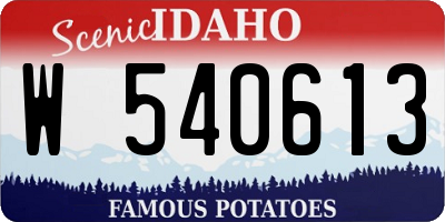 ID license plate W540613
