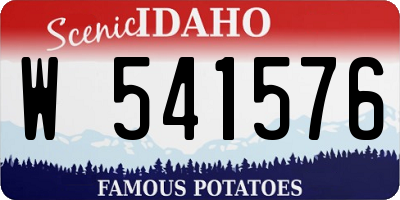 ID license plate W541576