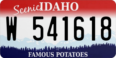 ID license plate W541618