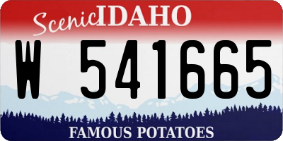 ID license plate W541665