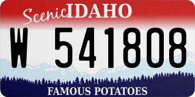 ID license plate W541808