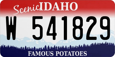 ID license plate W541829