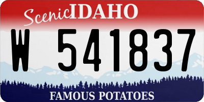 ID license plate W541837