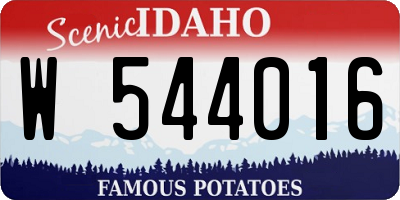 ID license plate W544016
