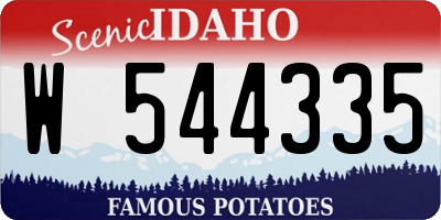 ID license plate W544335