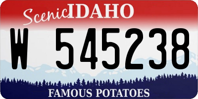 ID license plate W545238