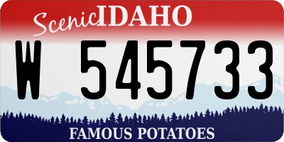 ID license plate W545733