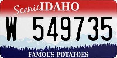 ID license plate W549735