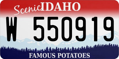 ID license plate W550919