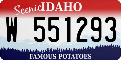 ID license plate W551293
