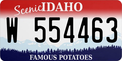ID license plate W554463