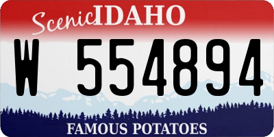 ID license plate W554894