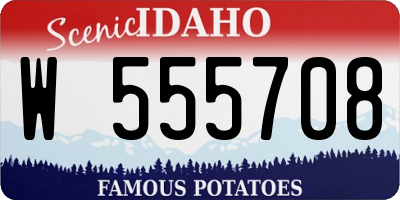 ID license plate W555708