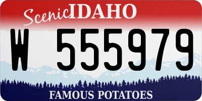 ID license plate W555979