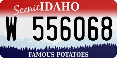 ID license plate W556068