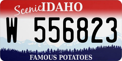 ID license plate W556823