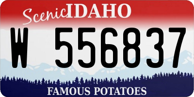 ID license plate W556837