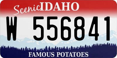 ID license plate W556841