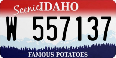 ID license plate W557137