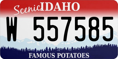 ID license plate W557585